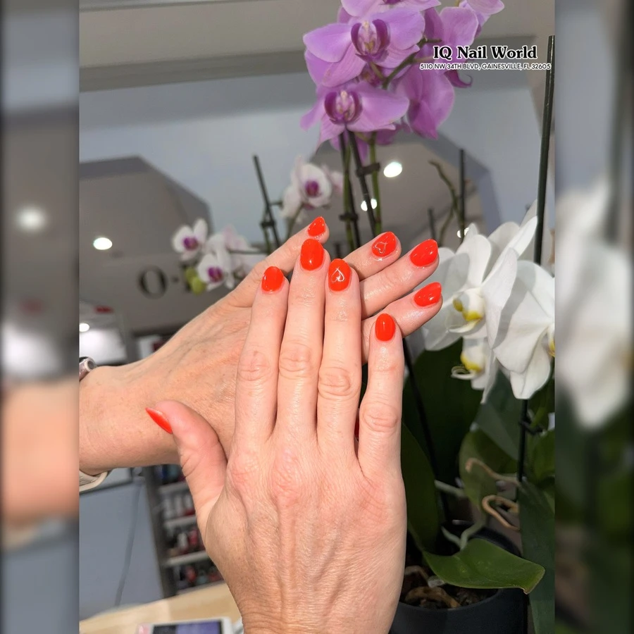 IQ Nail World in Gainesville, FL 32605